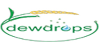 Digital Marketing Company in Kerala